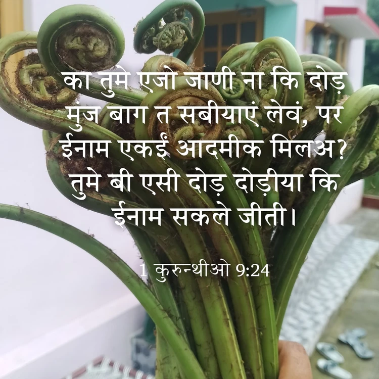 आछी फोटो