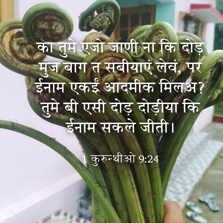 आछी फोटो