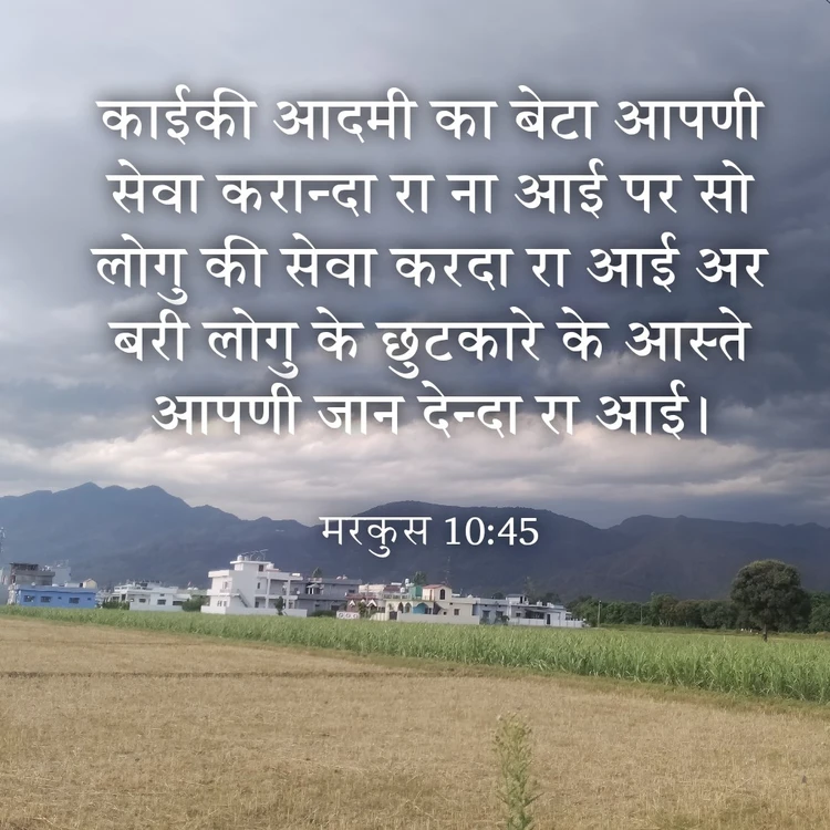 आछी फोटो